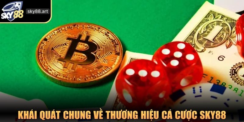 Khái quát chung về thương hiệu cá cược SKY88