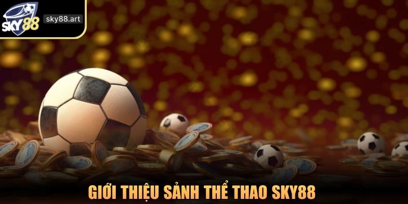 Giới thiệu sảnh thể thao SKY88 